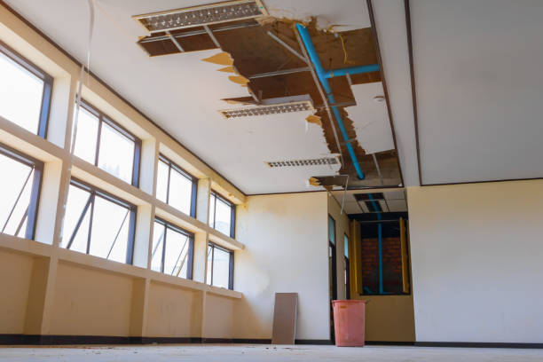 Best Professional water damage repair  in Laurel, MT