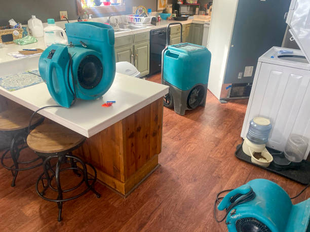 Best Water damage restoration near me  in Laurel, MT