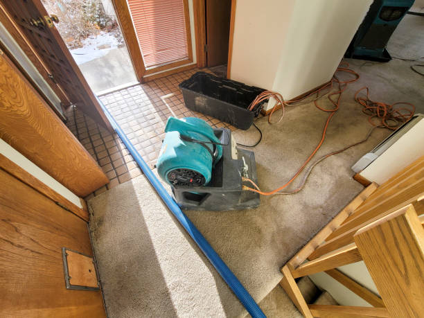 Reliable MT Water damage restoration Solutions