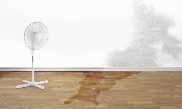 Best Fire Damage Restoration  in Laurel, MT