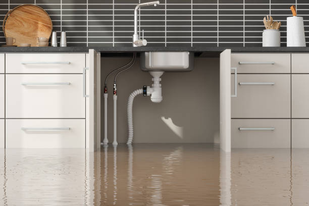 Best Water damage contractors near me  in Laurel, MT