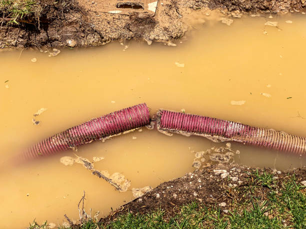 Best Professional water damage repair  in Laurel, MT